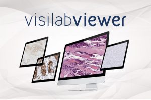 visilabviewer